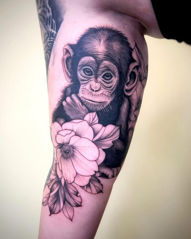 Baby Monkey
