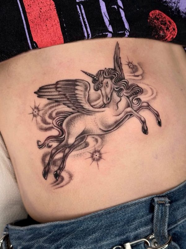 Flying Unicorn