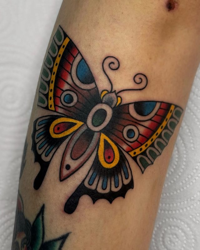 Colorful Butterfly