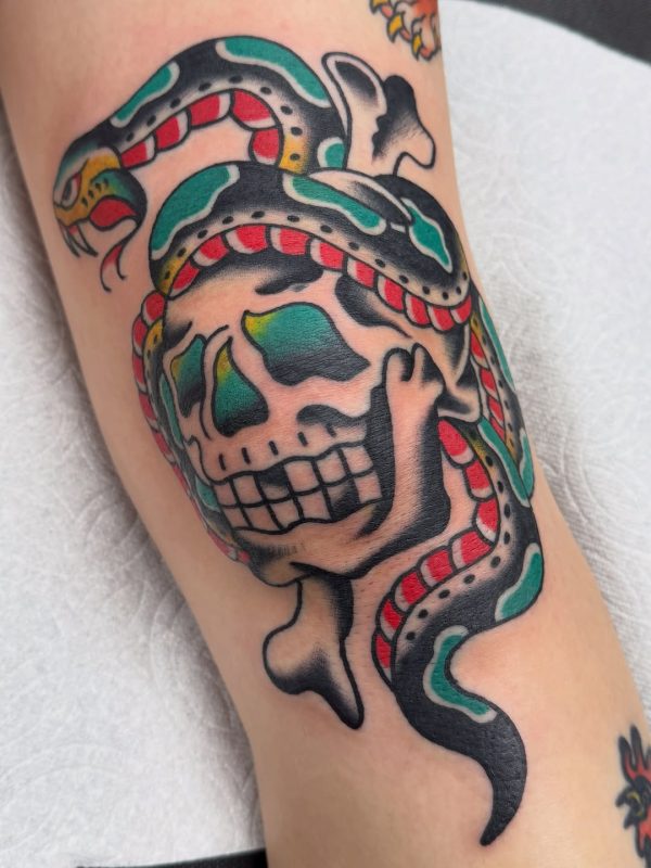 Snake Skull