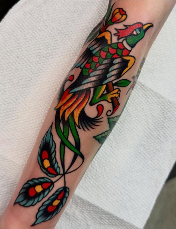 Colorful Bird