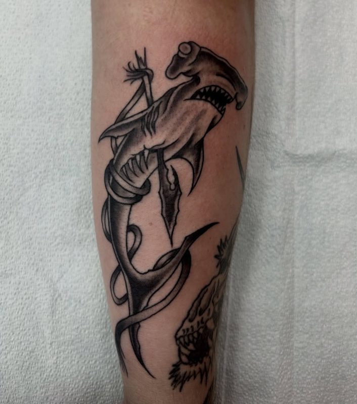 Hammerhead Shark