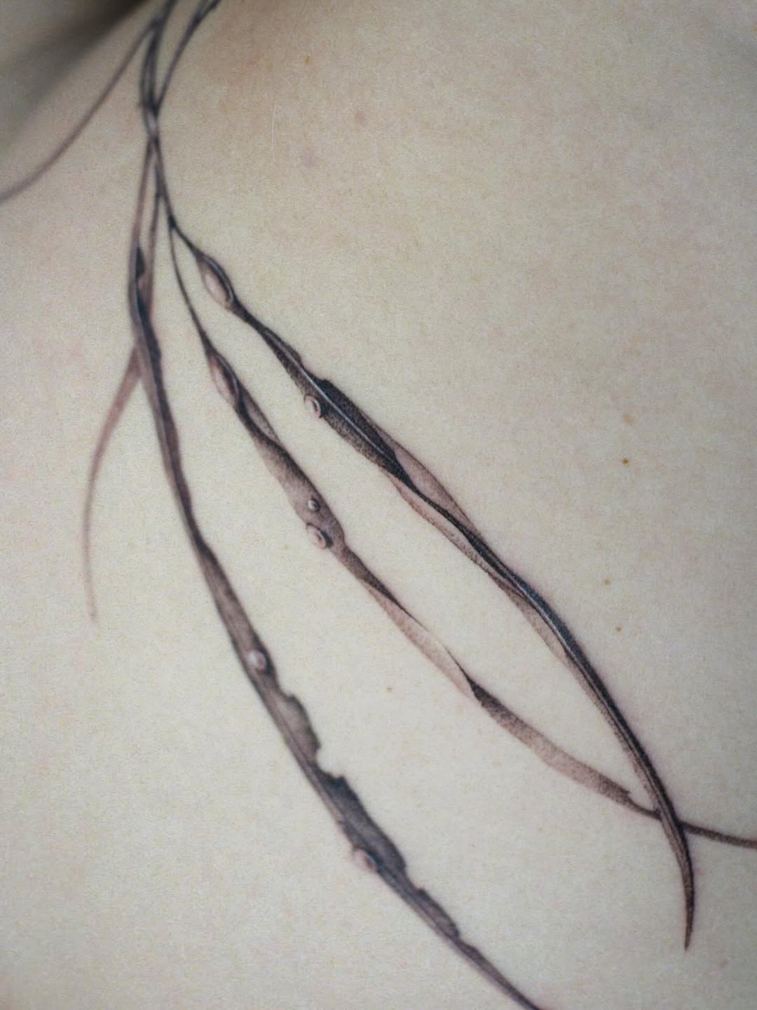 Abstract Branch Lines