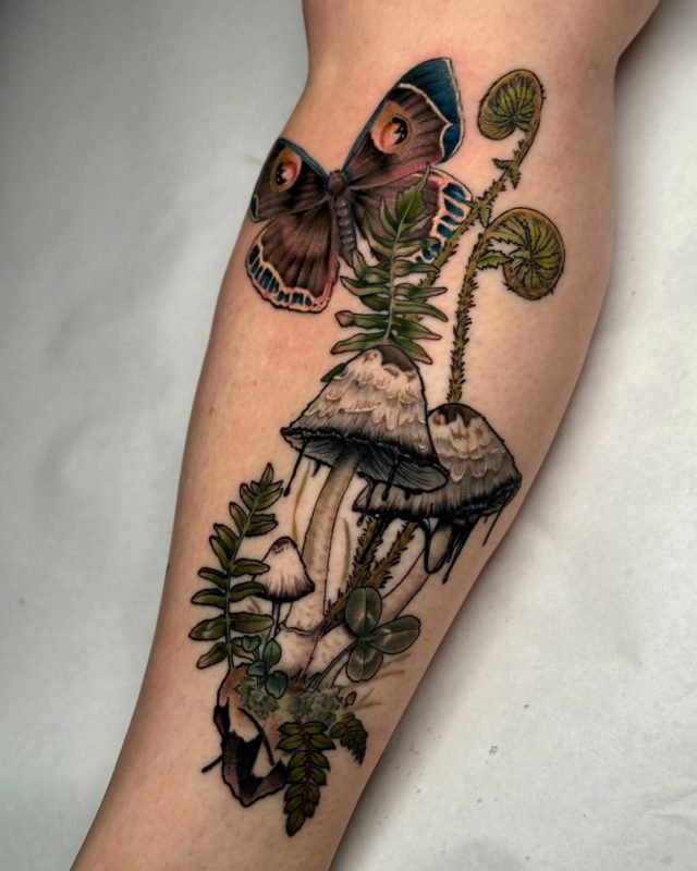 Mushrooms and Butterfly