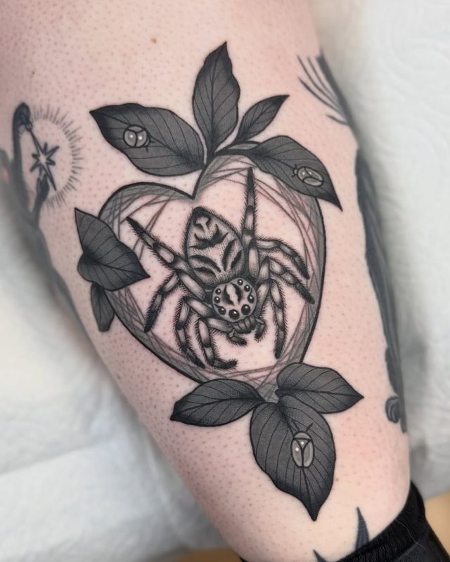 Spider and Leaves