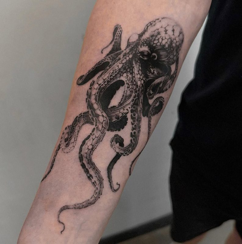 Octopus Detail