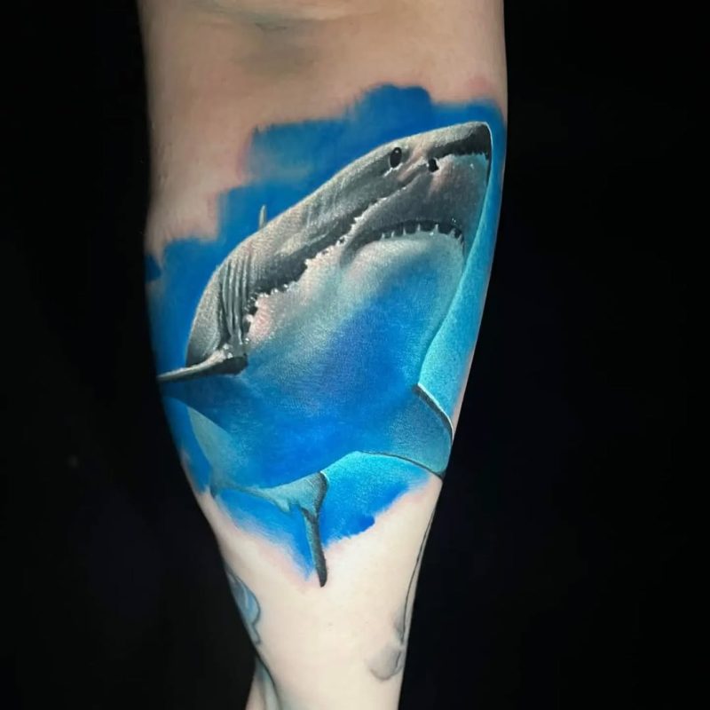 Realistic Shark
