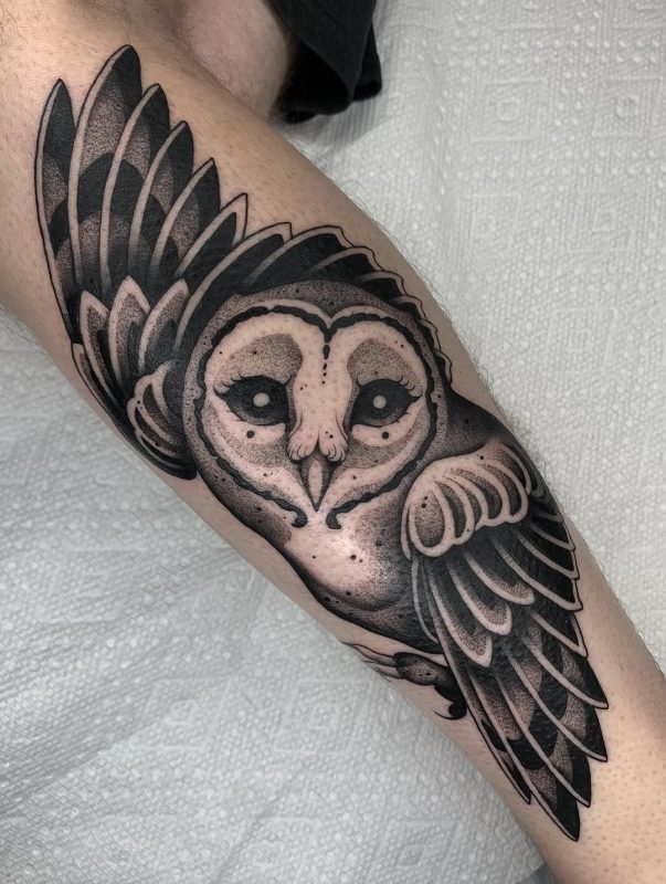 Flying Barn Owl
