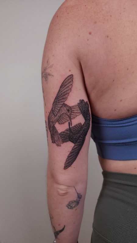 Hummingbird Duo