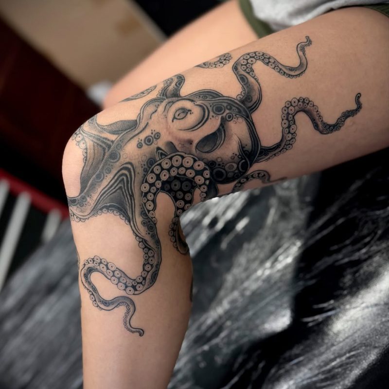 Octopus Knee