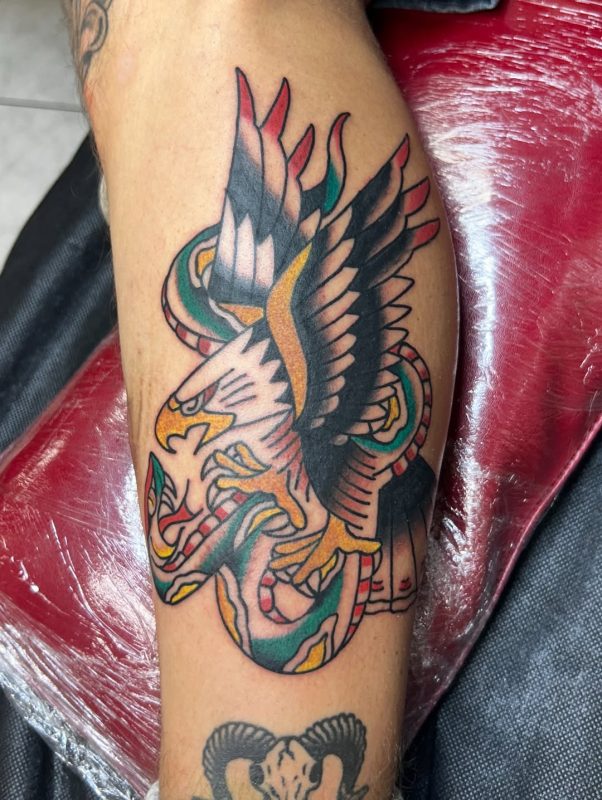 Eagle and Snake