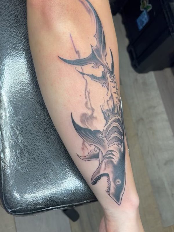 Skeletal Shark