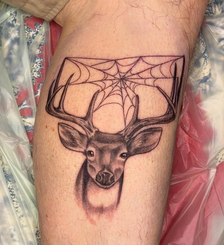 Deer with Web