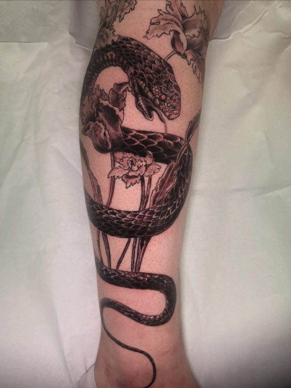 Black Snake