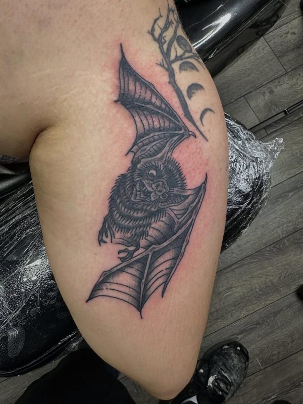 Bat and Moon