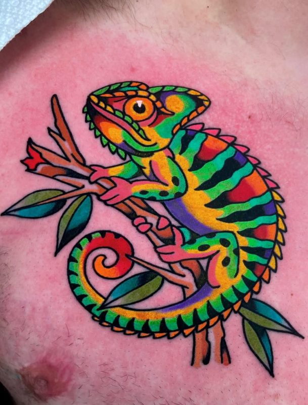 Colorful Chameleon