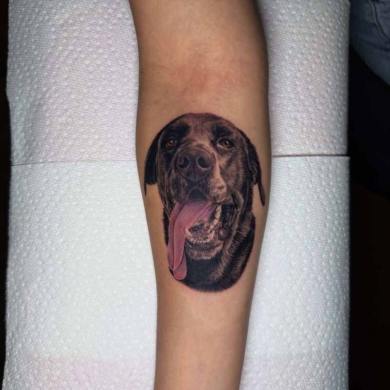 Realistic Dog Portrait