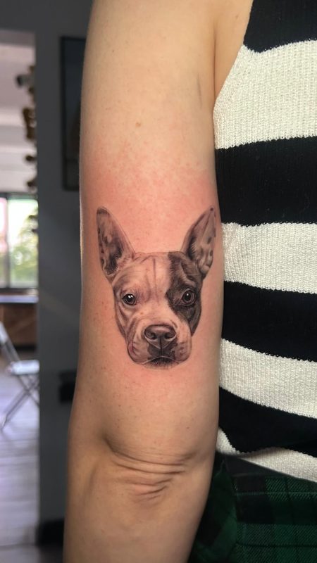 Realistic Dog Portrait