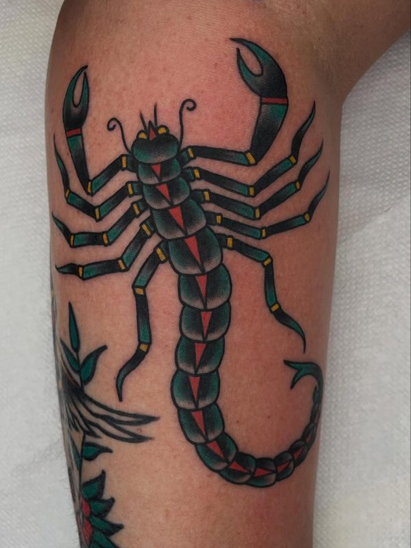 Traditional Scorpion