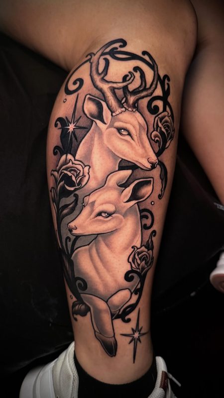 Deer Portrait