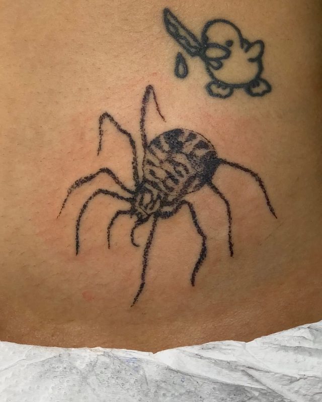 Cartoon Spider