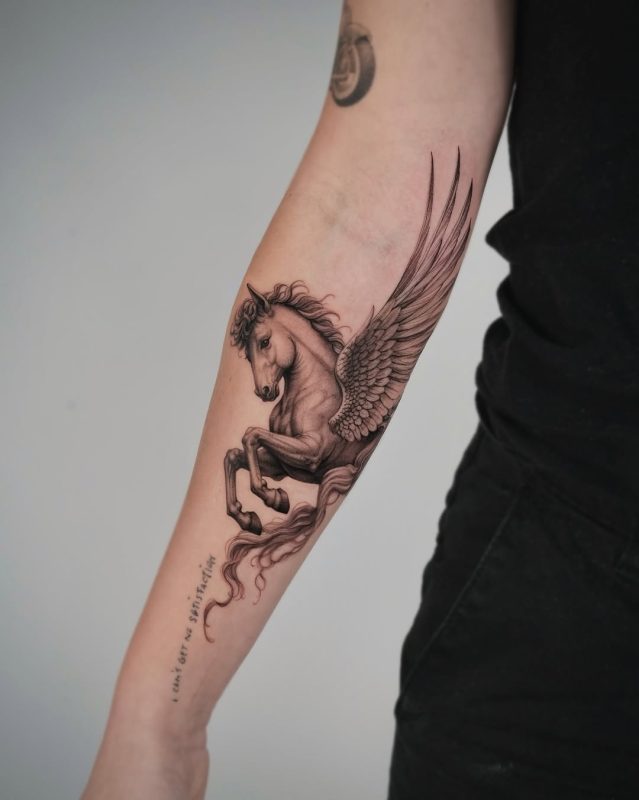 Pegasus Forearm
