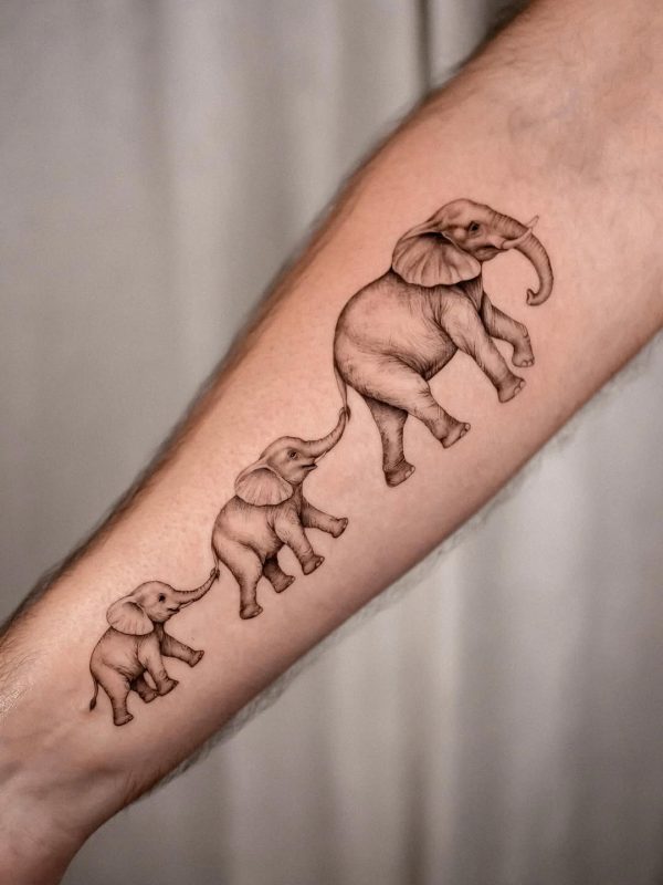 Elephant Family