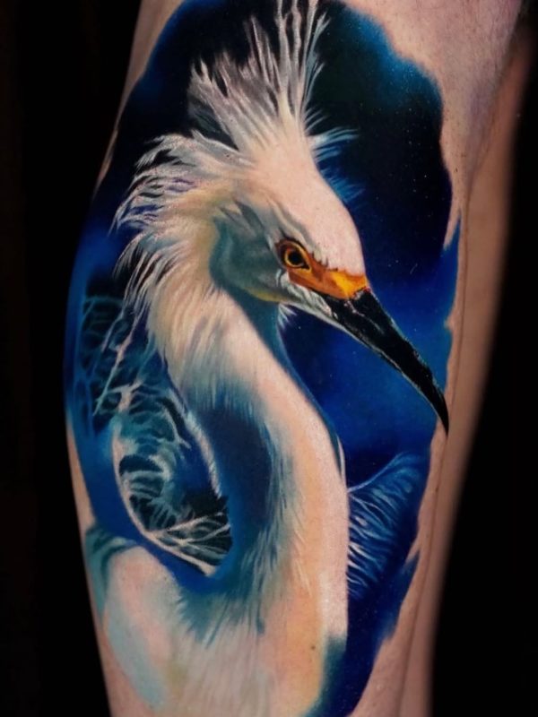 Realistic Egret