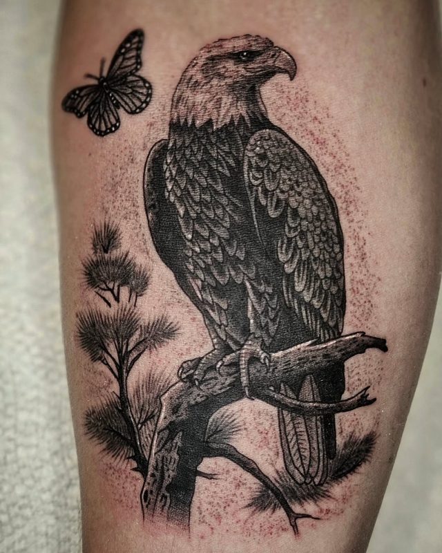 Eagle and Butterfly