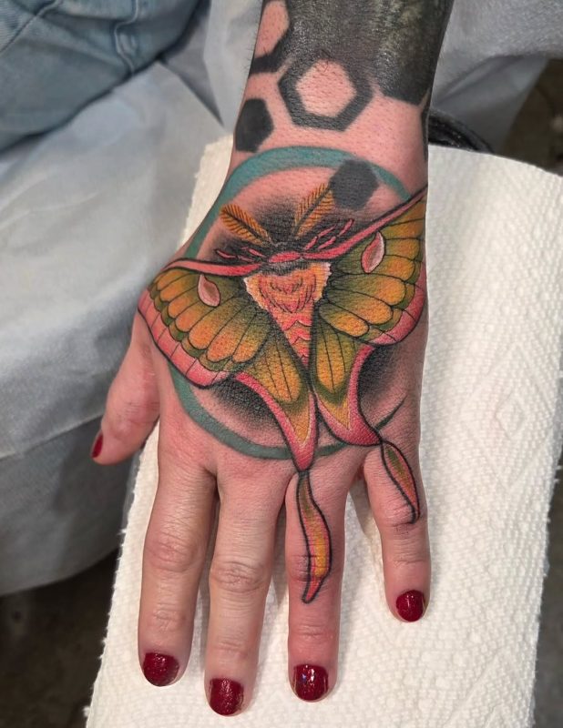 Colorful Moth