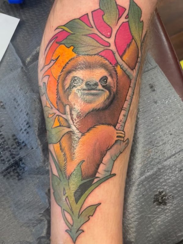 Sloth in Tree
