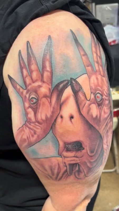 Surreal Face Hands