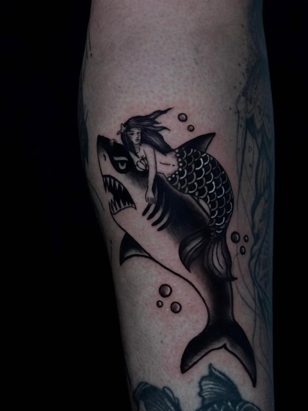 Mermaid Shark