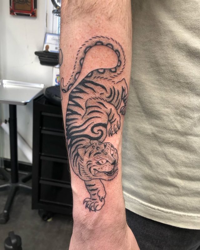Japanese Tiger