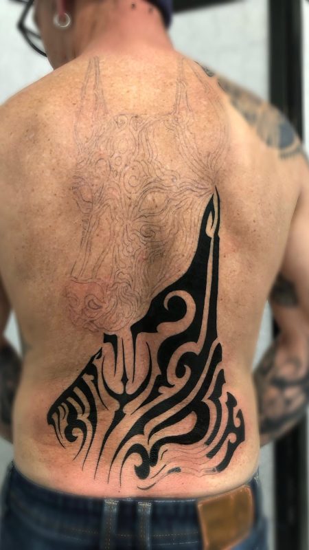 Polynesian Dog