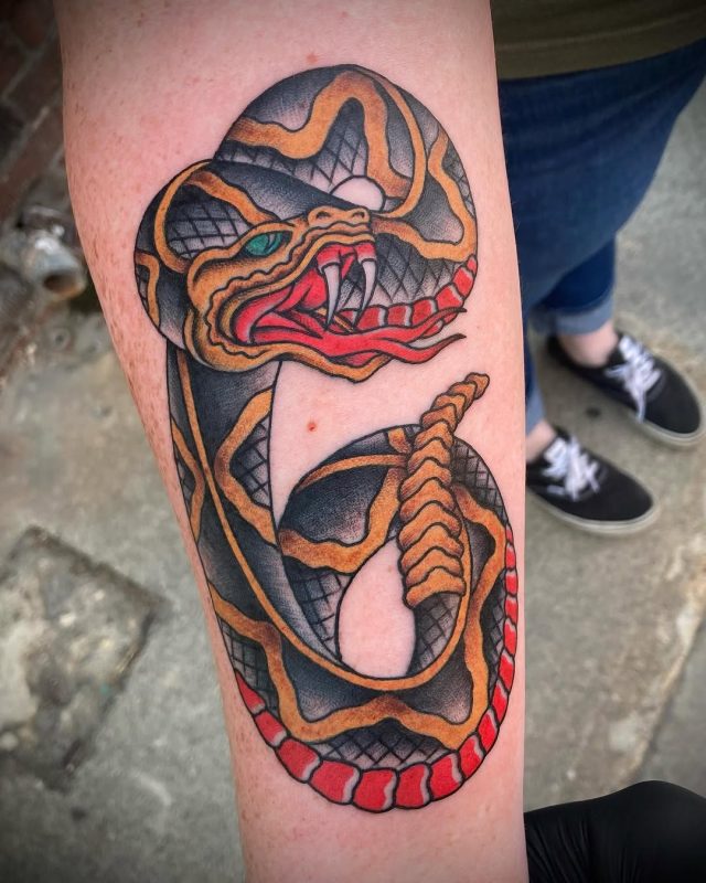 Coiled Snake