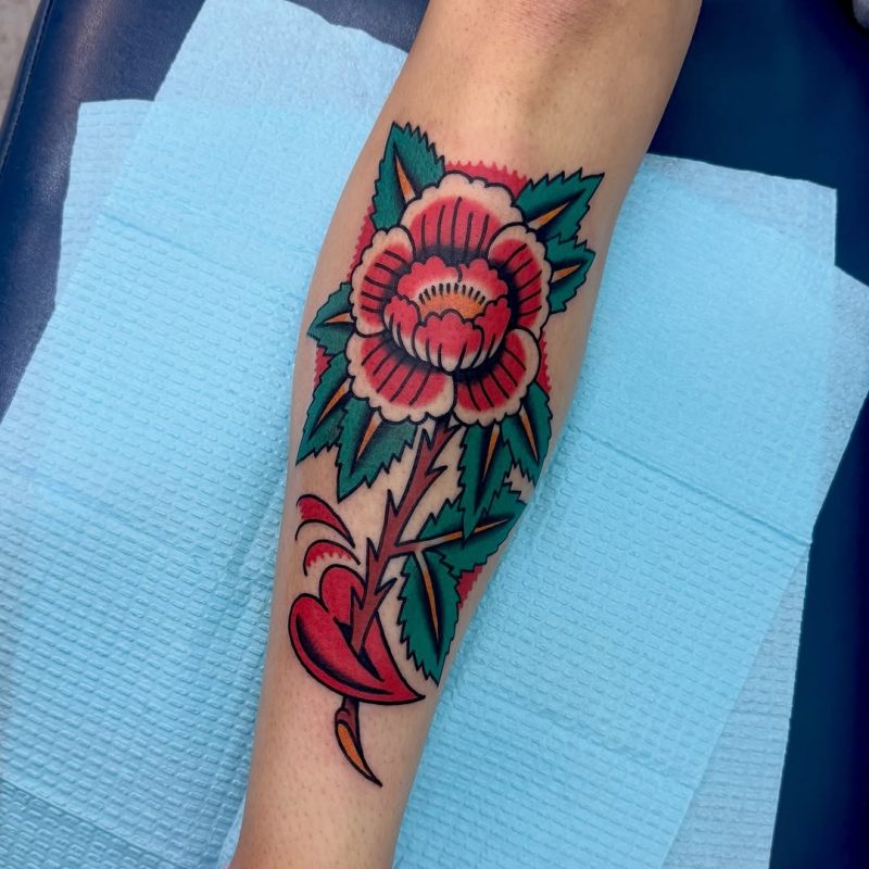 Traditional Rose