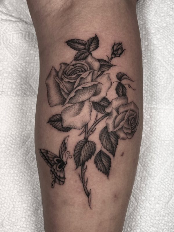 Rose and Butterfly