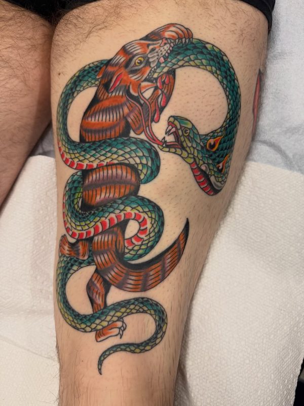 Tiger Snake Fight