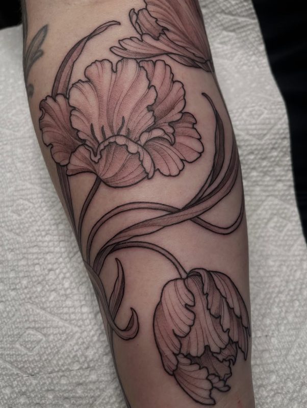 Fine Line Flowers