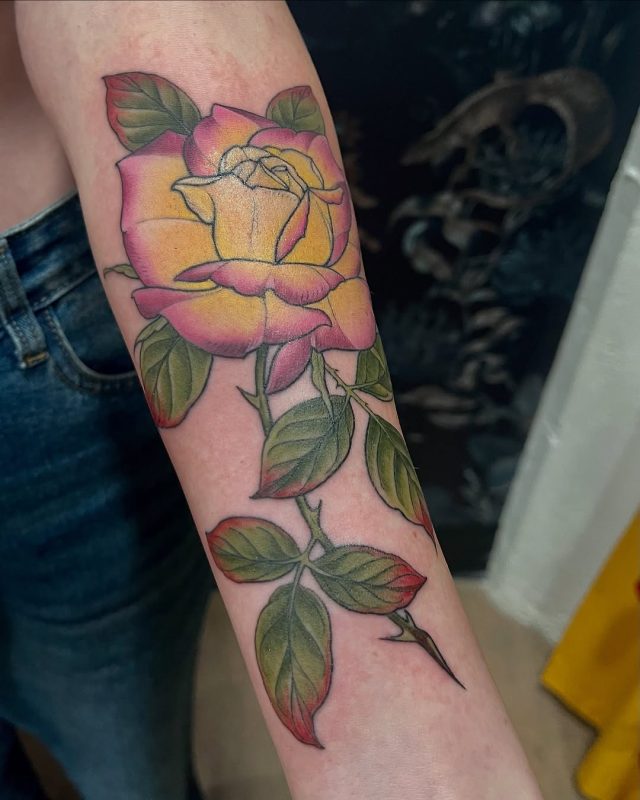 Yellow Rose