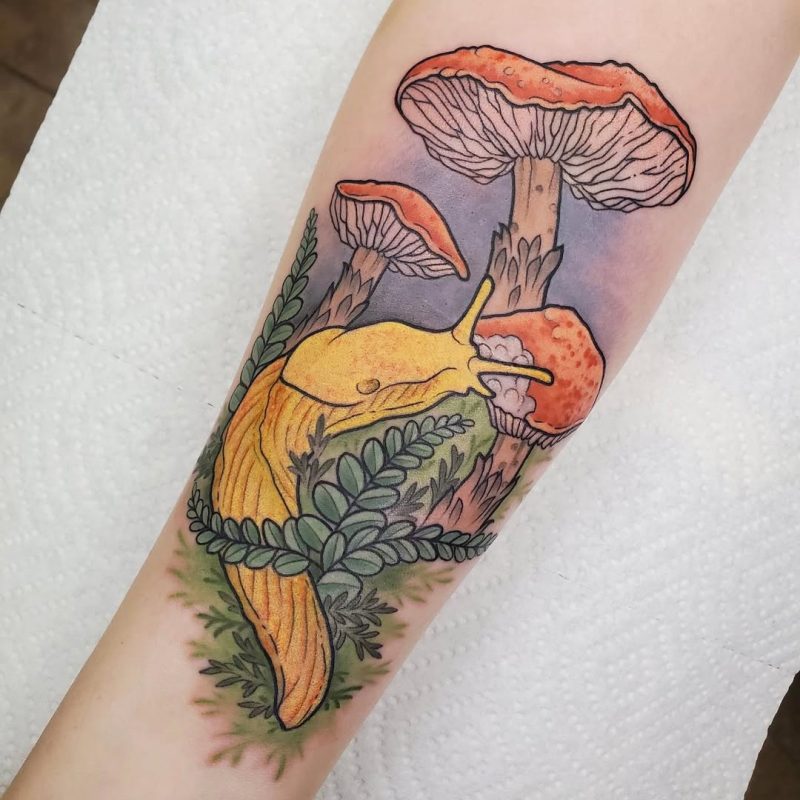 Slug and Mushrooms