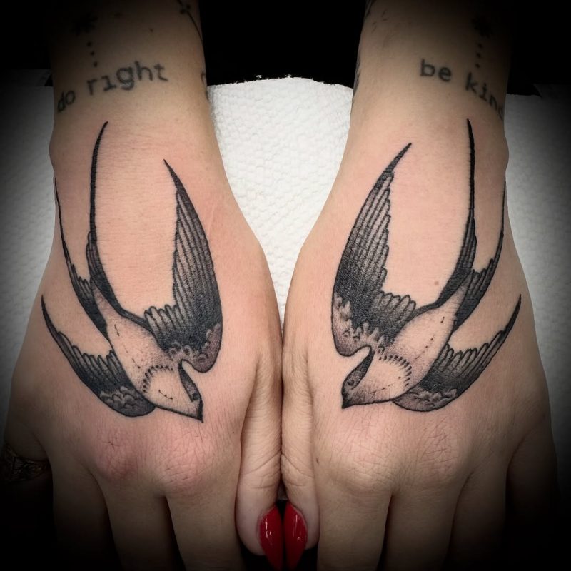 Flying Swallows