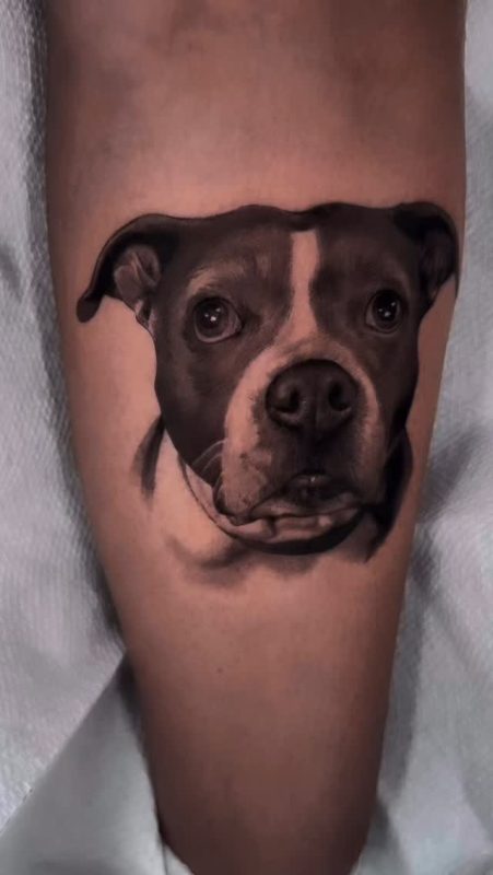 Realistic Dog Portrait