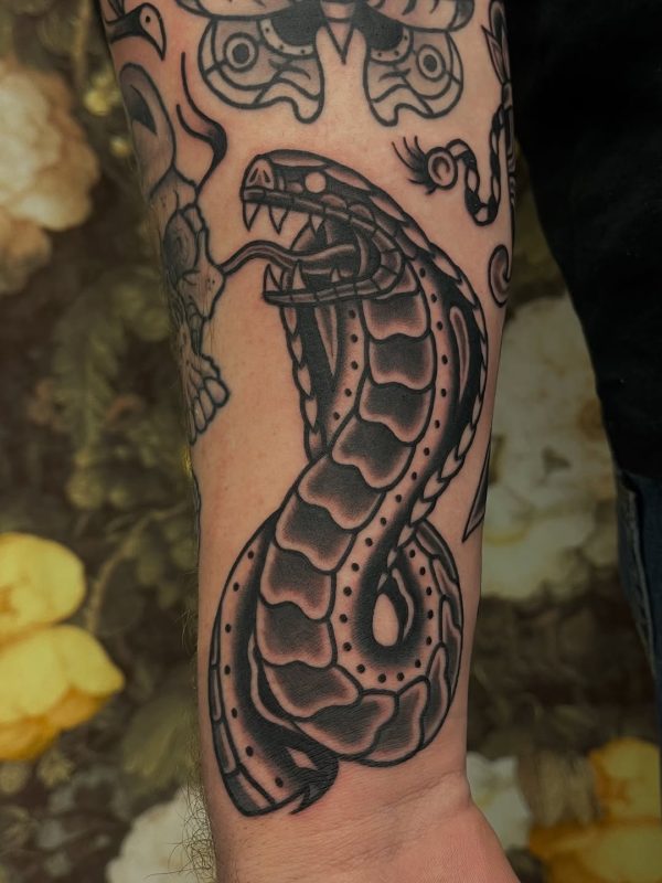 Black Snake