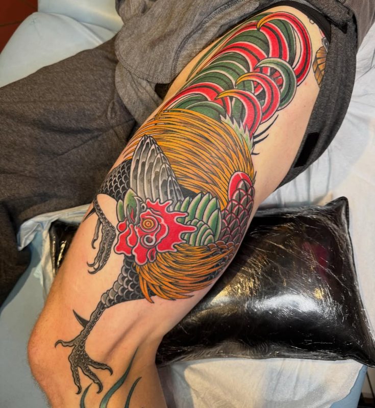 Colorful Rooster