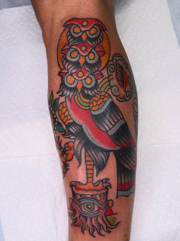 Owl and Eye