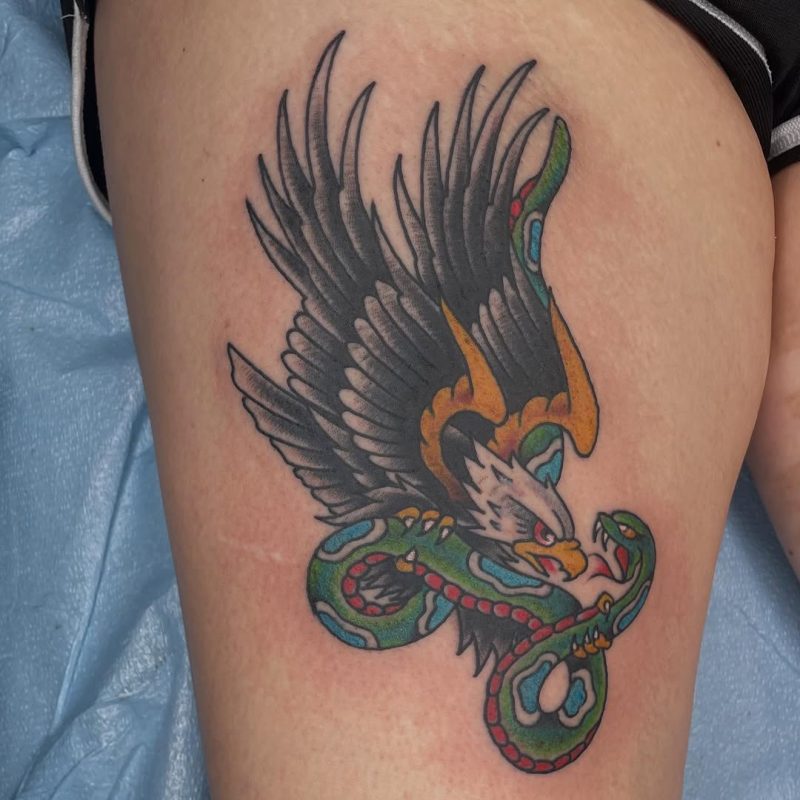 Eagle Snake Fight