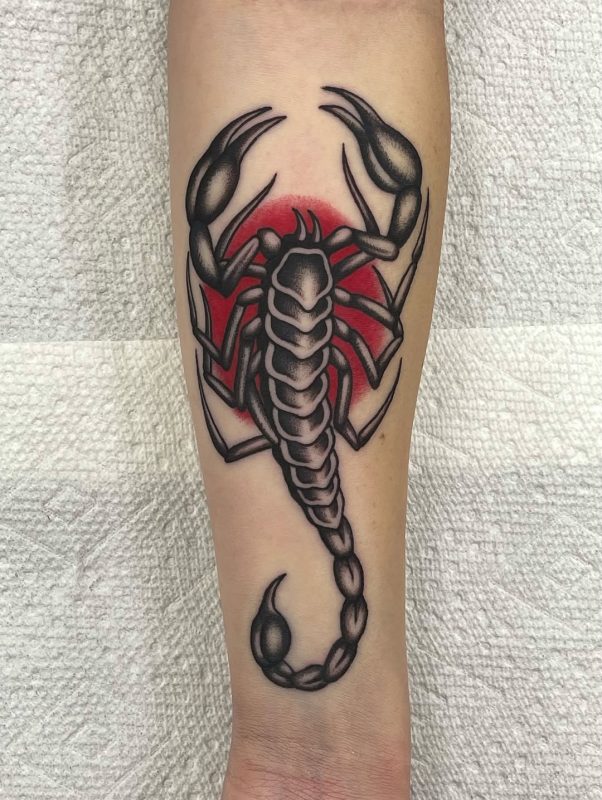 Scorpion Red Sun
