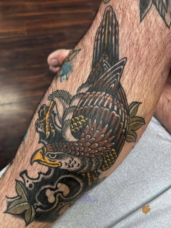 Traditional Eagle